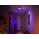 Philips Hue White and colour ambience Centris 2 taškinis lubinis šviestuvas Philips Hue White and colour ambience Centris 2 taškinis lubinis šviestuvas