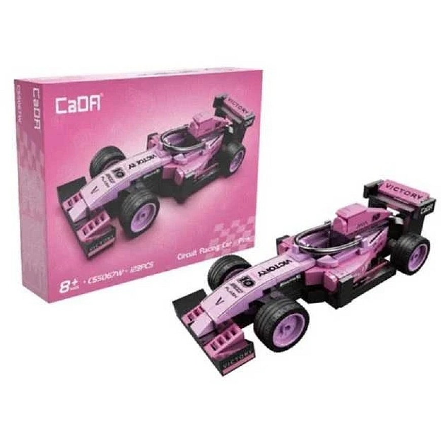 CircuitRacCarPink C55067W 33469