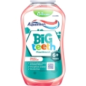 Aquafresh Big Teeth suušteeline lapsed 6+ 300ml Aquafresh Big Teeth suušteeline lapsed 6+ 300ml