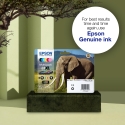 Epson Elephant Yksittäispakkaus, syaani 24XL Claria Photo HD -muste Epson Elephant Yksittäispakkaus, syaani 24XL Claria Photo HD -muste
