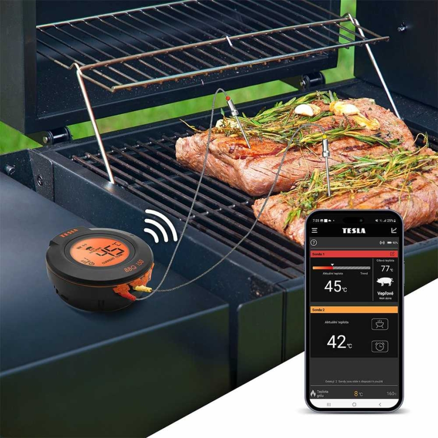 Belaidis virtuvinis termometras TESLA Cook BBQ150 – 5