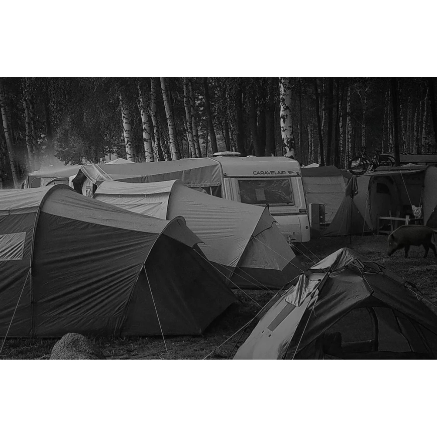 Trail Camera - Orllo Huntercam 6 SIM with Solar Power Supply – 3