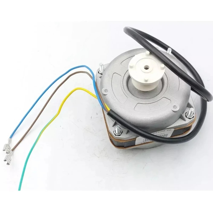 Dedra Elektriskais motors – 3
