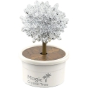 Magic Crystal Growing Kit Tuosiqi, 8 pcs. Magic Crystal Growing Kit Tuosiqi, 8 pcs.