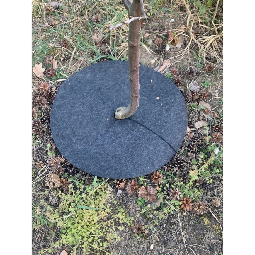 Bertoni Weed Control Disk Set, 6 pcs - 60 cm, Gray – 3
