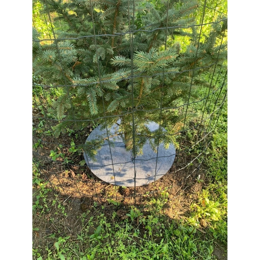 Bertoni Weed Control Disk Set, 6 pcs - 60 cm, Gray – 4