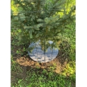 Bertoni Weed Control Disk Set, 6 pcs - 60 cm, Gray