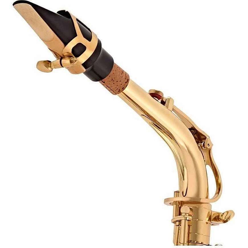 V Tone V-TONE AS 100 alto