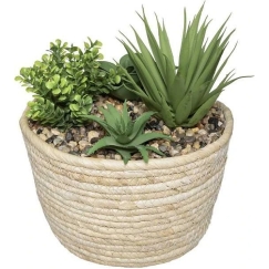 Atmosphera HACIENDA plant composition, 17 x 19 cm, natural pot