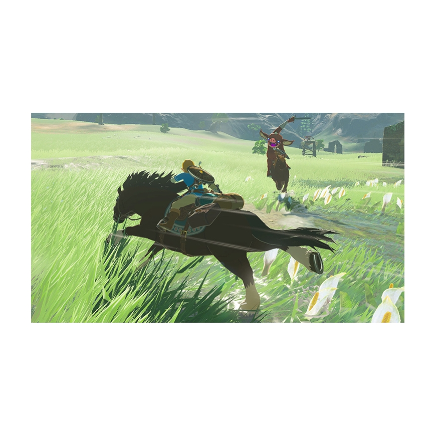 Nintendo The Legend of Zelda: Breath of the Wild, Switch Standard Nintendo Switch – 2