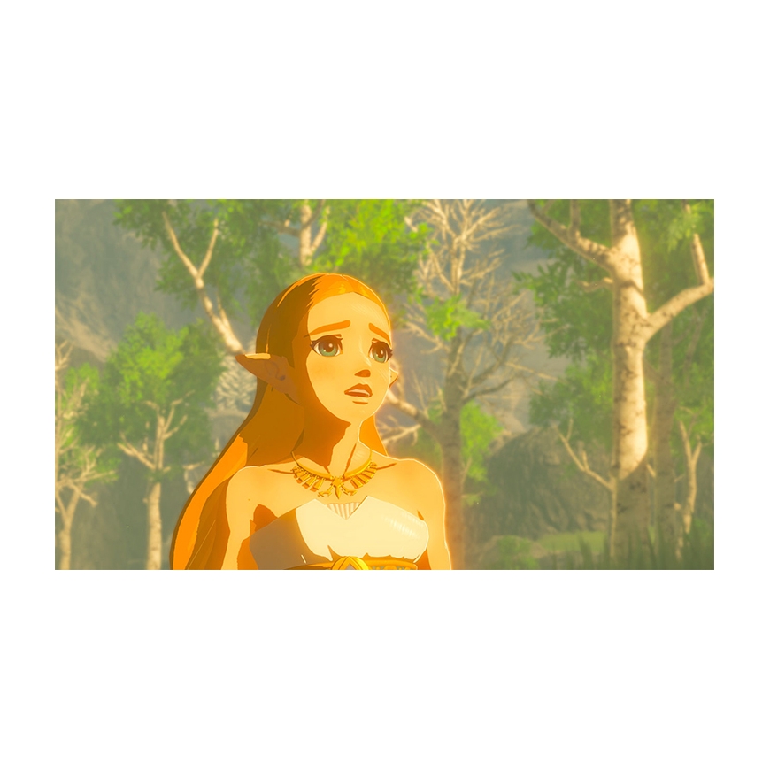 Nintendo The Legend of Zelda: Breath of the Wild, Switch Standartinis Nintendo Switch – 3