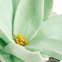 Eurofirany KW/FLORE/798/MINT MINT Eurofirany KW/FLORE/798/MINT MINT