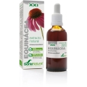Soria Echinaceos ekstraktas S XXI 50ml Soria Echinaceos ekstraktas S XXI 50ml