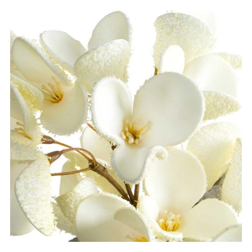 Eurofirany KW/FLORE/834/K K+TARGET – 2