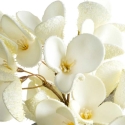 Eurofirany KW/FLORE/834/K K+TARGET Eurofirany KW/FLORE/834/K K+TARGET