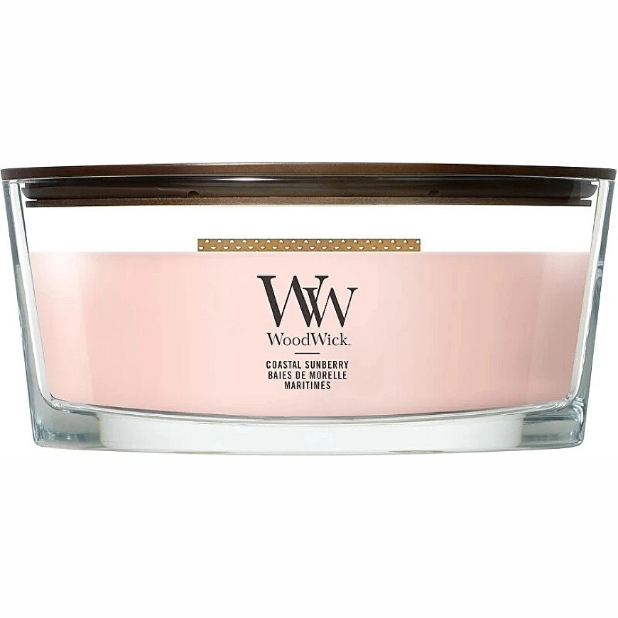 Woodwick Pakrantės saulėgrąža