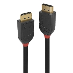 Lindy 36517 DisplayPort кабель 2 m Черный