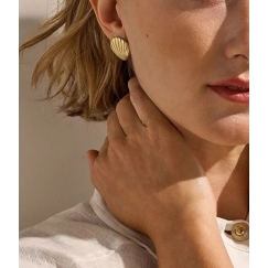 Skagen Delicate auskari Shells Moderne Ikon SKJ1900710