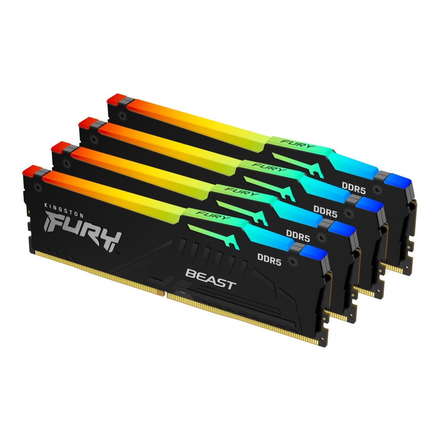 Kingston Technology Kingston Technology FURY Beast