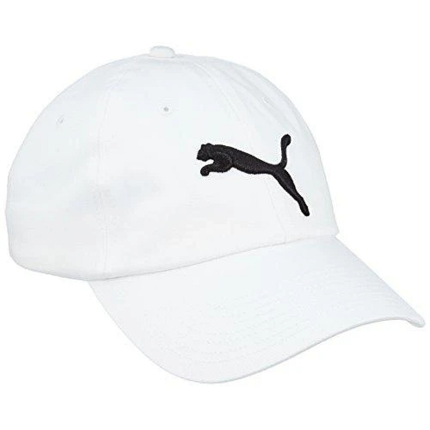 Lippalakki PUMA ESSENTIAL CAP 052919 02