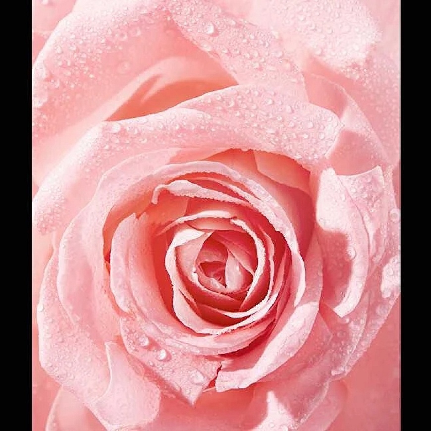 Nivea "Rose Touch" (waterproof eye makeup remover) 100 ml – 2
