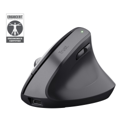 Trust Bayo+ mouse Office Right-hand RF Wireless + Bluetooth Optical 2400 DPI
