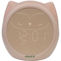 Cloud B Owlie Cloud B Owlie
