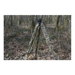 Tragopan Maskuotė trikojule
