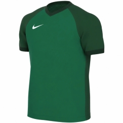 Marškinėlid laste Nike Dri-FIT Trophy VI roheline HV8158 302 (L)