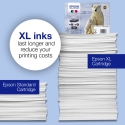 Epson Polar bear Yksittäispakkaus, syaani 26XL Claria Premium -muste Epson Polar bear Yksittäispakkaus, syaani 26XL Claria Premium -muste
