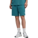 Puma ESS Elevated Relaxed meeste lühikesed püksid roheline 692021 41 M