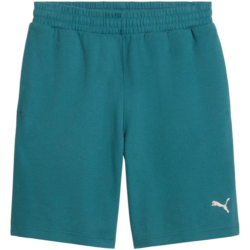 Puma ESS Elevated Relaxed meeste lühikesed püksid roheline 692021 41 M – 2