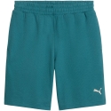 Puma ESS Elevated Relaxed meeste lühikesed püksid roheline 692021 41 M