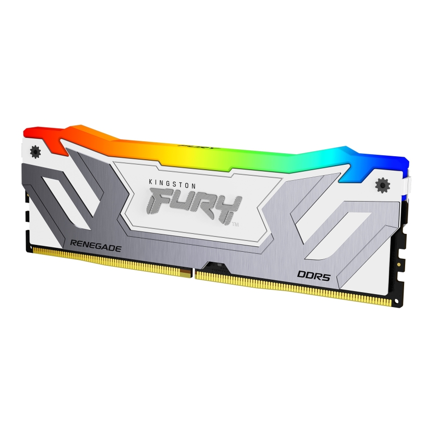 Kingston Technology Kingston Technology FURY Renegade
