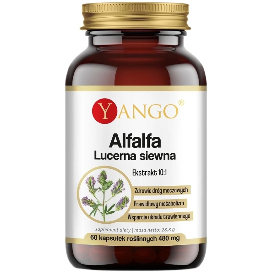 Yango Alfalfa lucerna siewna uztura bagātinātājs