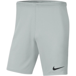 Nike Dry Park III NB K laste lühikesed püksid hall BV6865 097 (XL)