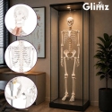 Human Skeleton - 170cm Glimz Human Skeleton - 170cm Glimz