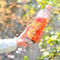 Hario - 400 ml plastic matcha bottle - light pink