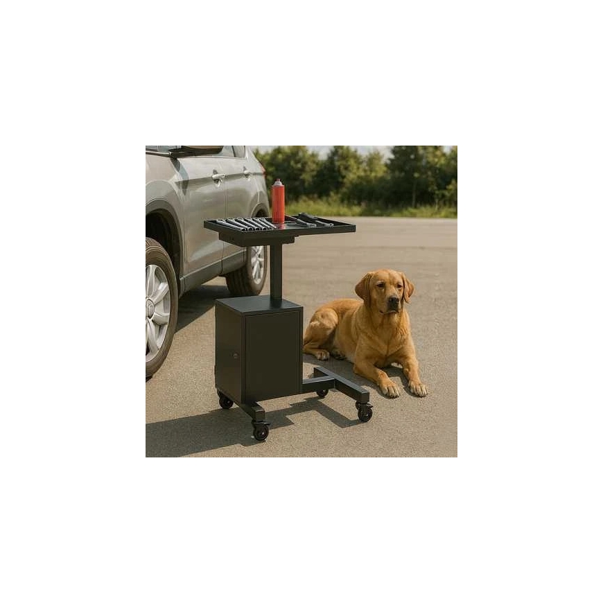 Spacetronik Workshop Trolley with Key Lockable Cabinet SPC141 – 2
