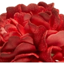 Eurofirany KW/FLORE/874/JUN Raudonas Eurofirany KW/FLORE/874/JUN Raudonas