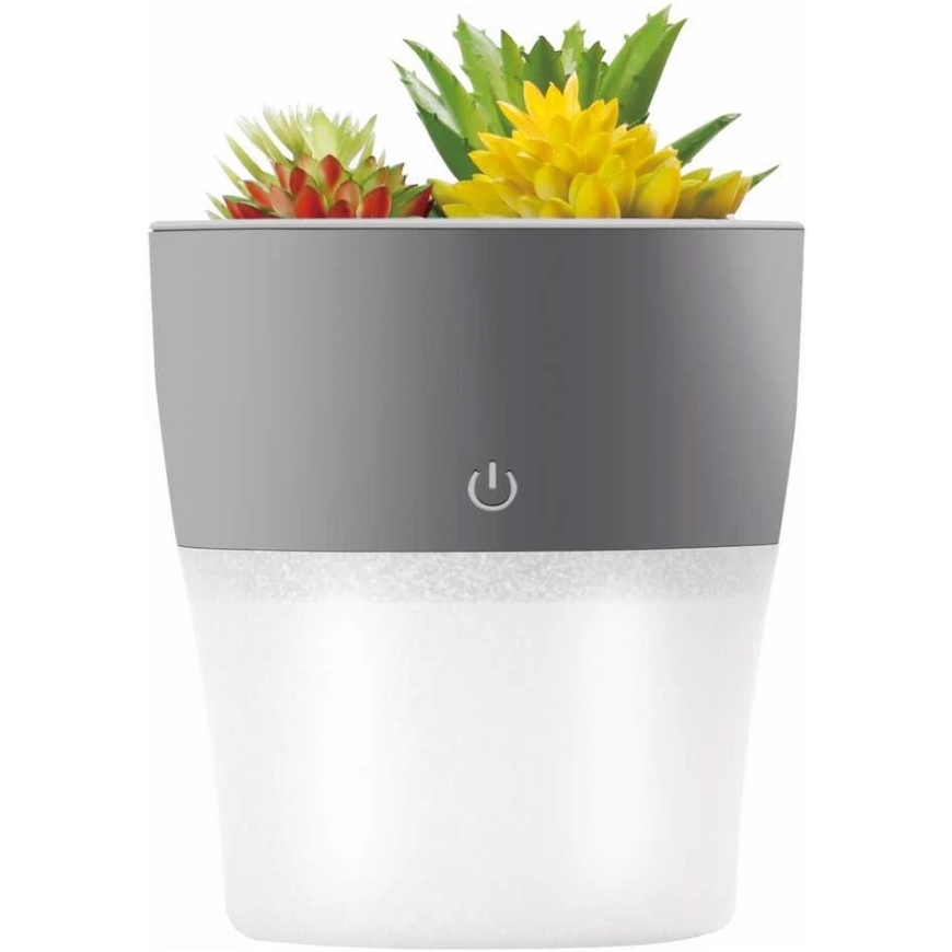 Setty Humidifier NP-18 Gray