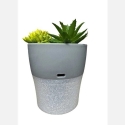 Setty Humidifier NP-18 Gray