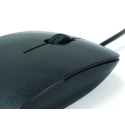 Conceptronic CLLM3BDESK pele Birojs Abām rokām USB Type-A Optisks 800 DPI Conceptronic CLLM3BDESK pele Birojs Abām rokām USB Type-A Optisks 800 DPI