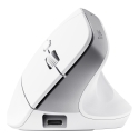Trust Bayo+ mouse Office Right-hand RF Wireless + Bluetooth Optical 2400 DPI
