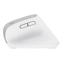 Trust Bayo+ mouse Office Right-hand RF Wireless + Bluetooth Optical 2400 DPI