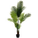 Atmosphera Kunstlik palm puukott, kõrgus 170 cm Atmosphera Kunstlik palm puukott, kõrgus 170 cm