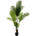 Atmosphera Kunstlik palm puukott, kõrgus 170 cm Atmosphera Kunstlik palm puukott, kõrgus 170 cm