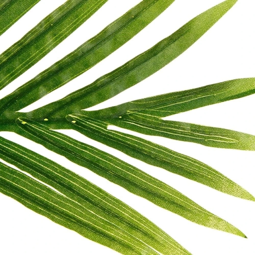 Atmosphera Kunstlik palm puukott, kõrgus 170 cm – 5