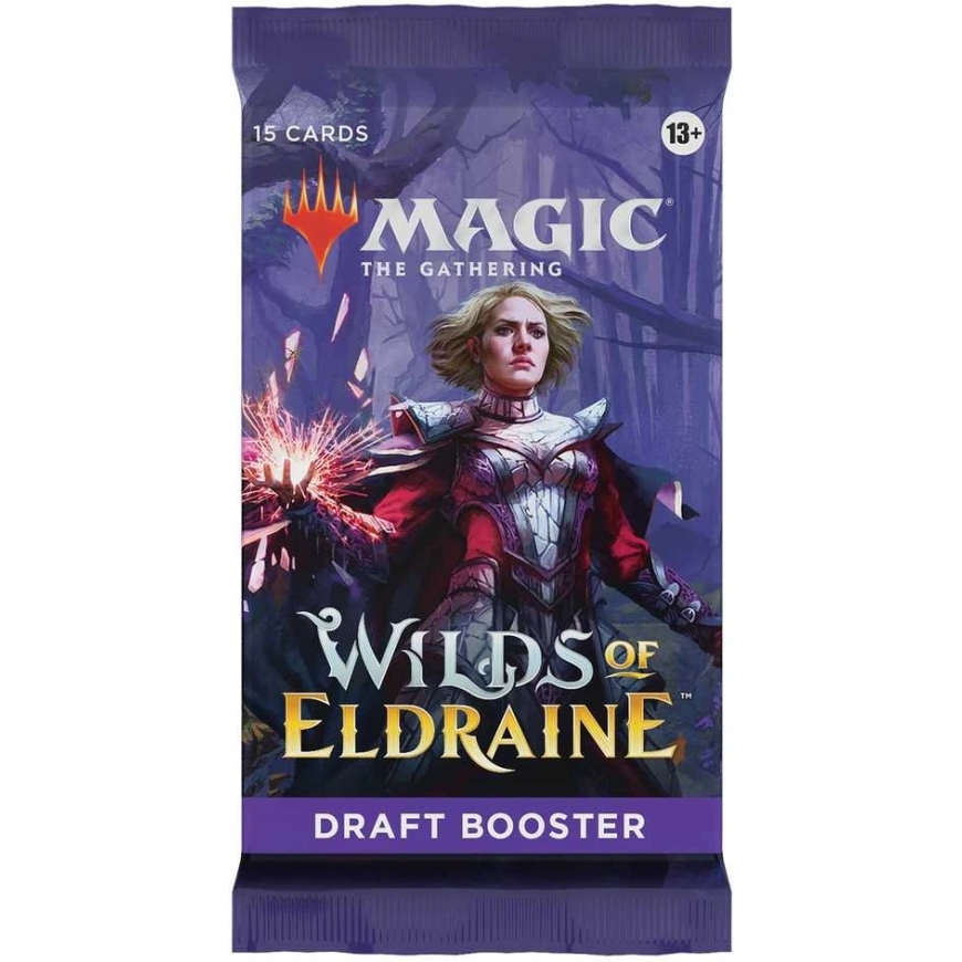 Wizards of the Coast Wizards of
