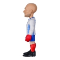 MINIX WC LEGENDS RANSKA - FABIEN BARTHEZ MINIX WC LEGENDS RANSKA - FABIEN BARTHEZ